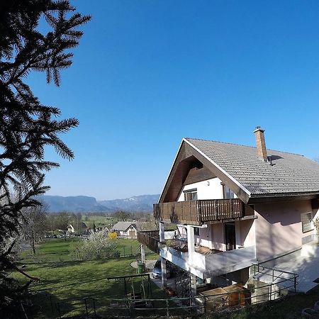 Lakeview Apartment Maja Near Bled Breznica Exterior photo